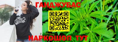 спайс Гагарин