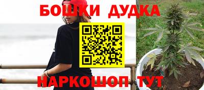 спайс Гагарин