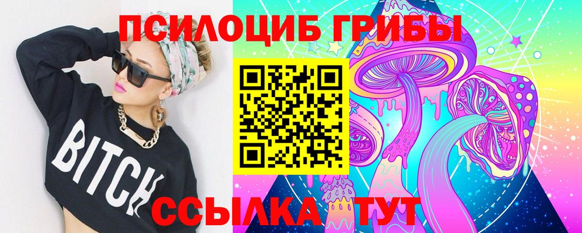Псилоцибиновые грибы Psilocybe  Вход с VPN  купить закладку  Галлюциногенные грибы GOLDEN TEACHER  Зерноград 